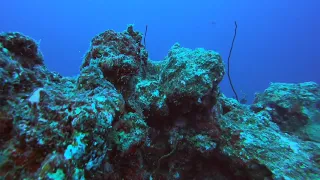 Diving at Corsair Wall!! | ADL Video