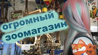 Огромный ЗООМАГАЗИН! ОБЗОР товаров для животных в зоо ГАРФИЛД