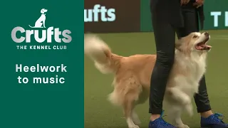 Heelwork To Music - Freestyle International Competition Part 3 | Crufts 2023