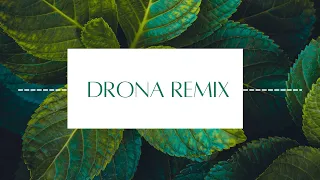 Drona(ദ്രോണ)-Theme Song |Mammootty| Remix