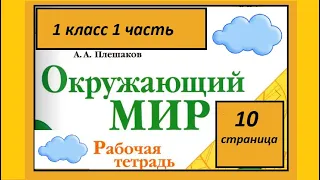 Окружающий мир 1 класс Что у нас над головой? Страница 10