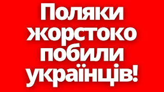 Поляки ЖОРСТОКО побили українців просто так! Новини Польщі