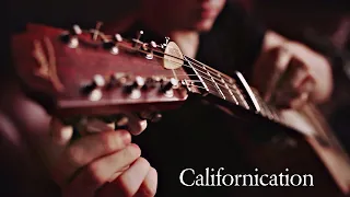 Californication on One Guitar (Alexandr Misko)