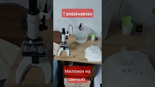 искусственное осеменение