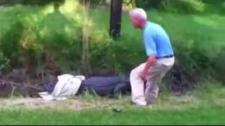 Old Man Tries to Catch an Alligator