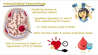 Brain Hemorrhage - Epidural, Subdural, Subarachnoid, Intracerebral - Concisely Described