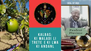 Kalbas: ki maladi li trete e ki lwa ki andanl