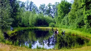 NATURTEICH ANLEGEN OHNE FOLIE | 300m² GÜNSTIG+SCHÖN | NATUR-GARTEN-TEICH-TIPPS FÜRS SELBER BAUEN