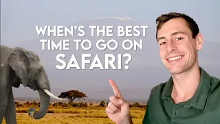 When's the Best Time to Go on Safari? (East Africa)