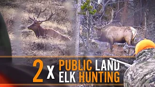 Public Land Elk Hunting  DIY with Guy Eastman