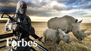 Inside South Africa's War On Poaching During The Pandemic | Forbes