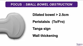 POCUS in Small Bowel Obstruction