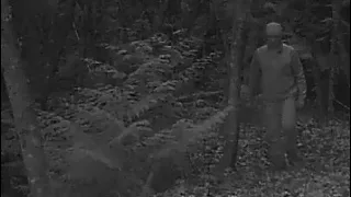 I Filmed What We Saw, Sasquatch Or Not. An Update