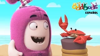 Oddbods | Salvando al Cangrejo | Dibujos Animados Graciosos Para Niños