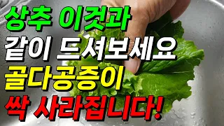 상추 이렇게 드셔보세요! 골다공증이 골밀도 높아져 사라집니다! 연골재생 골다공증에 좋은 음식 상추 씻는 법 #골다공증 #골다공증예방 #상추 #상추씻는법