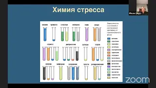 Программа Антистресс. О.А. Бутакова.