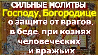 Сильные Молитвы Господу, Богородице о защите от врагов, в беде, при кознях человеческих и вражьих