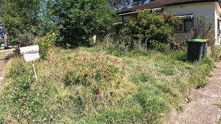 NEGLECTED yard is now BEST in the STREET! Neighbors were thrilled!