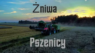 Żniwa Pszenicy na wielką skale | Niespodziewana akcja na polu |