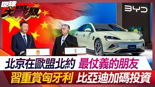 Beijing is the most loyal friend in the EU and NATO  Xi rewards Hungary, BYD increases investment