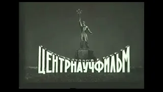 Центрнаучфильм. Солнце (1980)