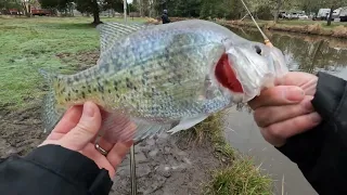 Catch And Cook Crappies | And Tips For Fishing For Crappies.