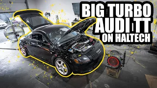 1.8T Big Turbo Audi TT hits the dyno using Haltech Elite