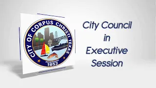 City Council  Meeting, July 21, 2020