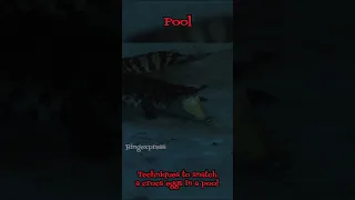The Pool (2018) | Stuck With An Alligator Inside a Dry Pool