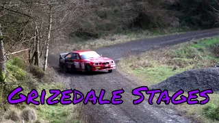 Grizedale Stages 2017, Rally in the Lake District