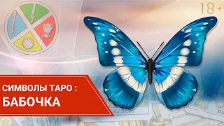 Символ Бабочка в Таро. Значение и толкование. 18+