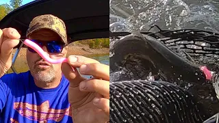 Plastic Worms: The New Frontier Of Trout Trolling