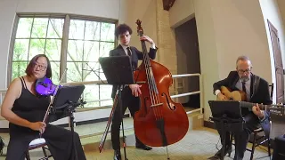 Recipe For Love by Harry Connick, Jr - Violin, Guitar & Bass Cover by Serenata Strings DFW