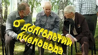 Профессор Кашковский: Секреты долголетия пчеловода