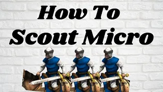 A Detailed Guide To Scout Micro