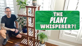 Get Your Green On! Sleek And Modern Plant Stand - Free Plans Available