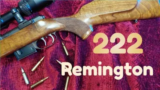 Video # 17 – 222 Remington in a BRNO Fox II