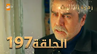 مسلسل زهرة الثالوث - الحلقة 197 | مدبلج | الموسم الثاني