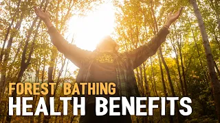 What is Forest Bathing? Shinrin Yoku Health Benefits