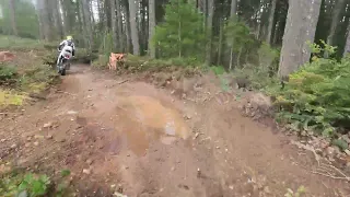 Tahuya ORV - TAHUYA RIVER TRAIL  (Beta 300 X-trainer)