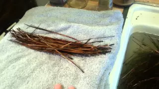 Pine Needle Baskets Part One: Gather, Clean, and Prepare the Needles