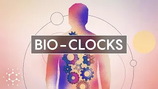 Unlocking the Secrets of Our Circadian Rhythms