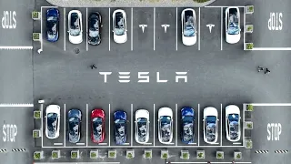 Tesla Is Executing Across the Board, Ross Gerber Says