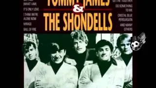 Tommy James and The Shondells - Mony Mony