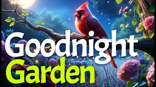 Goodnight Garden🐦🌸🌙THE ULTIMATE Calming Bedtime Stories for Babies and Toddlers with Relaxing Music🌷