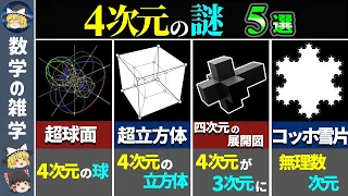 【総集編】次元とは何か？数学の面白い話【ゆっくり解説】