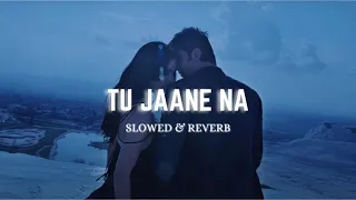 TU JAANE NA | Slowed & Reverb | Ajab Prem ki Gazab Kahani | Atif Aslam #slowedandreverb #lovesong