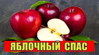 19 Августа – Яблочный Спас! Что Можно и Нельзя Делать в Этот День.