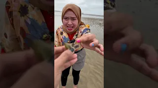 Cari kelomang di pantai buat makan