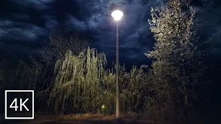 Relaxing Lantern Light at Night With Sounds of Crickets and Gentle Wind for Sleep | Distant Thunder